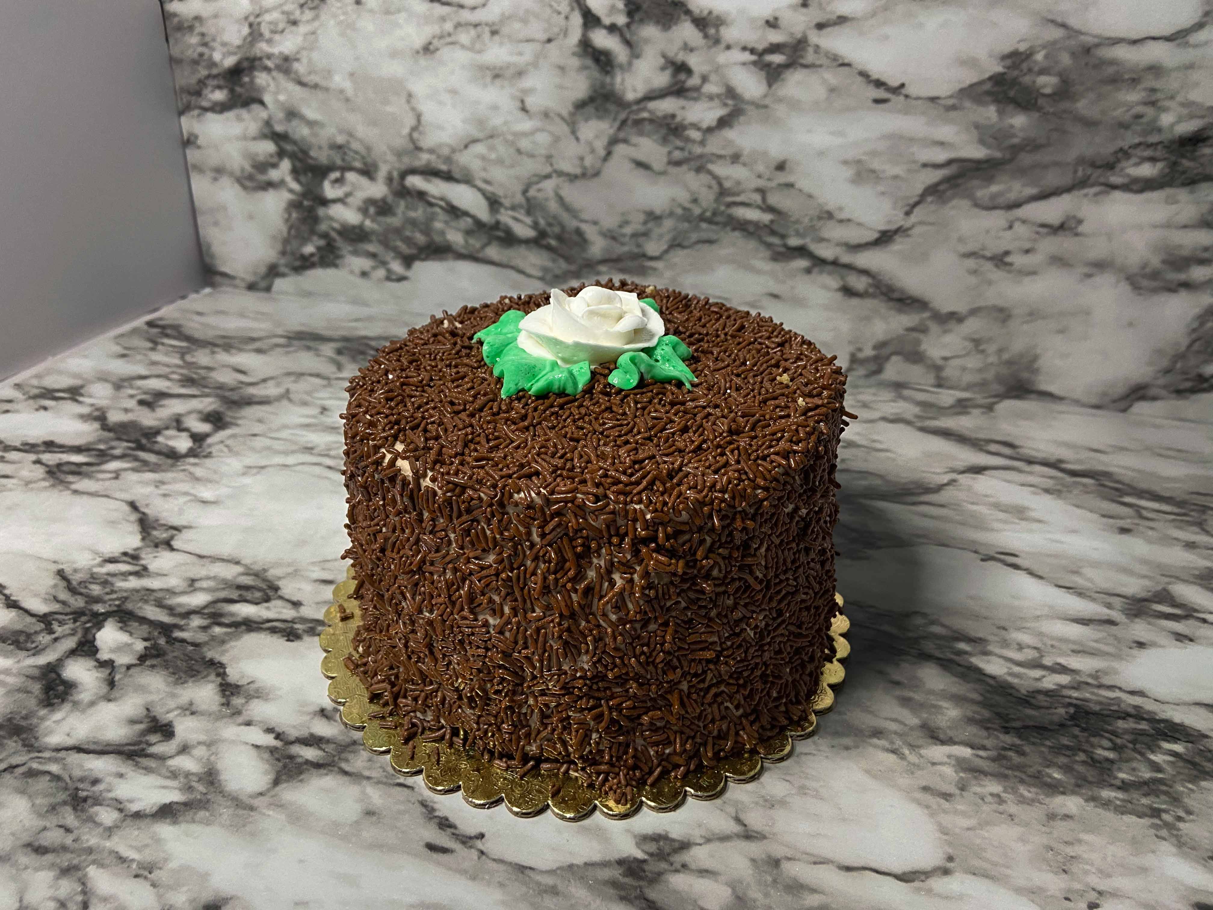 Chocolate Sprinkle Cake